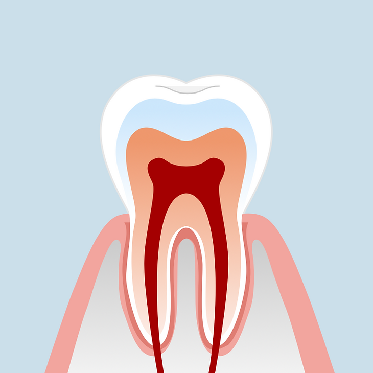Studio Medico Dentistico Castello endodonzia denti